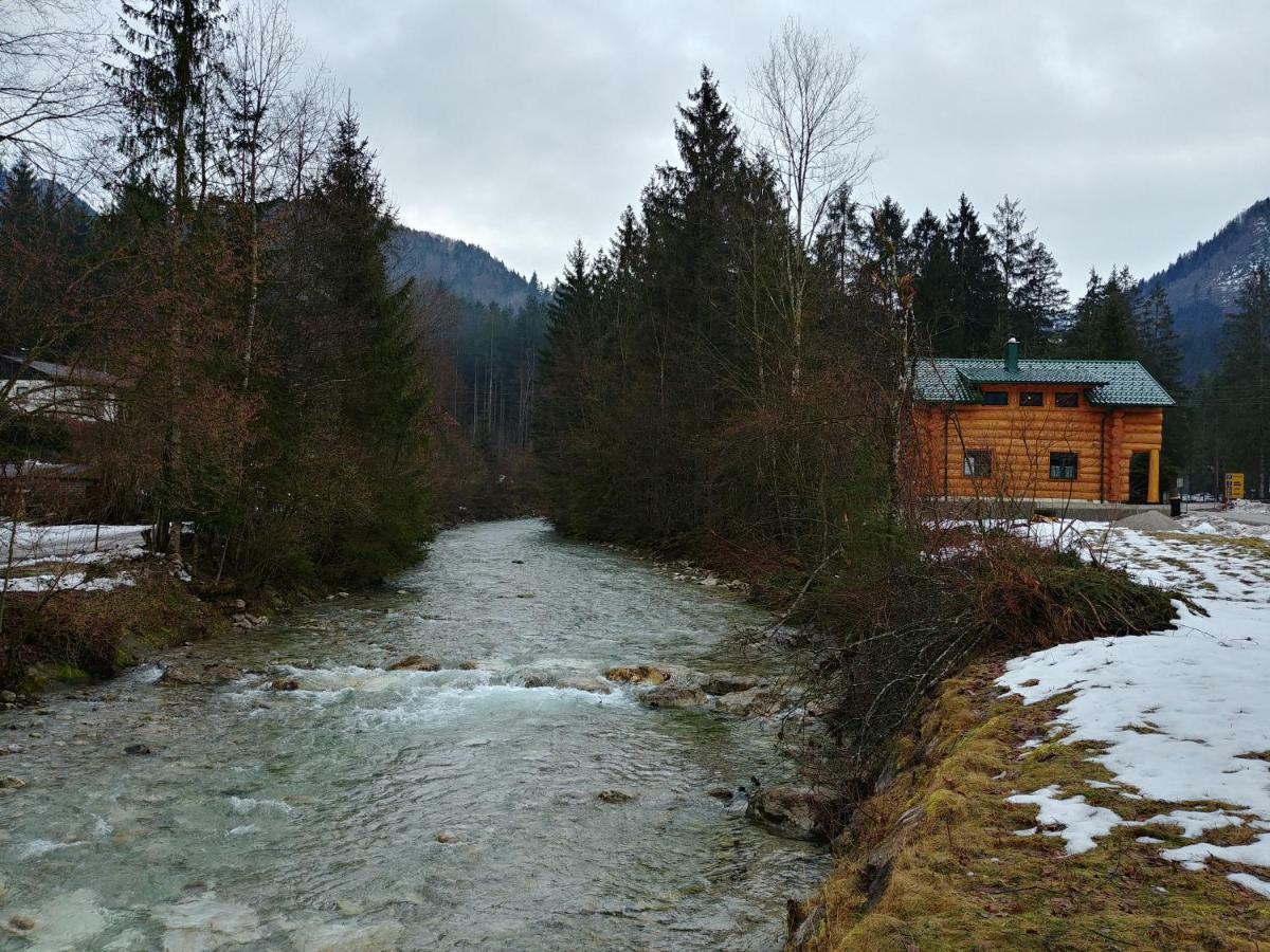 Ferienwohnungen Blockhaus - Zwergenhaeusl Grünau im Almtal Eksteriør bilde